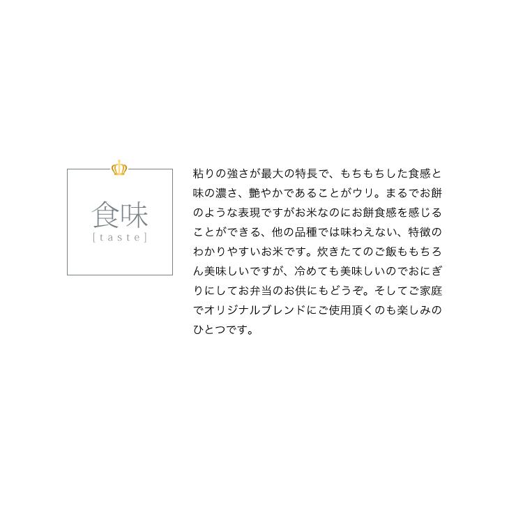 米 お米 20kg ミルキークイーン 新米 令和5年 まとめ買い 業務用米 安い 埼玉県産