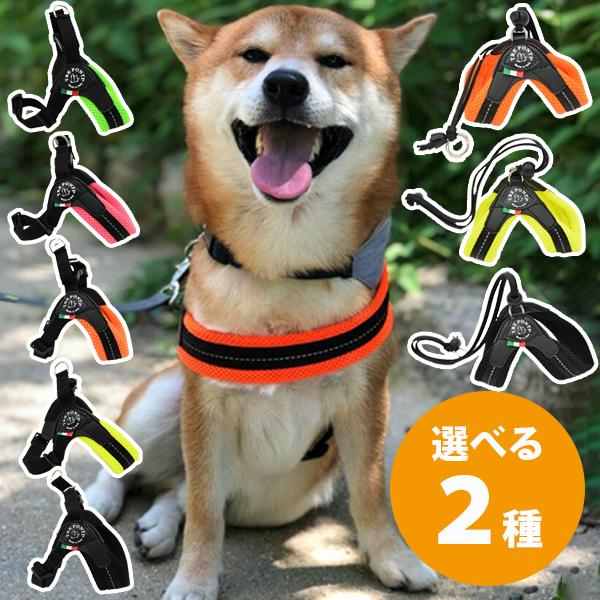 ハーネス ペット用品 犬 小型犬 2.5号 トレポンティ フィッビア ソフト