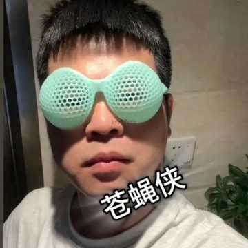 今天買✨明天到 3d打印昆蟲蒼蠅眼鏡鏤空遮陽創意整蠱眼鏡網格趣味個性禮物 送閨蜜 交換禮物