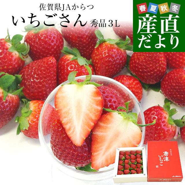 送料無料 佐賀県より産地直送 JAからつ 新品種いちご いちごさん 秀品 ３Lサイズ 500g化粧箱 20粒から24粒 イチゴサン イチゴさん いちごサン 唐津 うまかもん