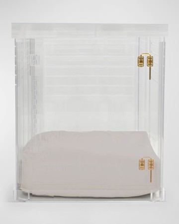 Medium Clear View Pet Crate With Golden Latch