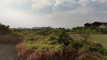 梓官市區好進出都內農地｜高雄市梓官區梓信段