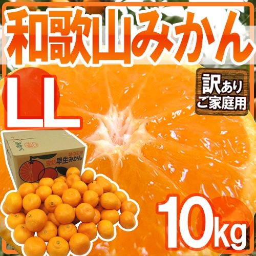 みかん ”和歌山みかん” 訳あり LLサイズ 約10kg 送料無料