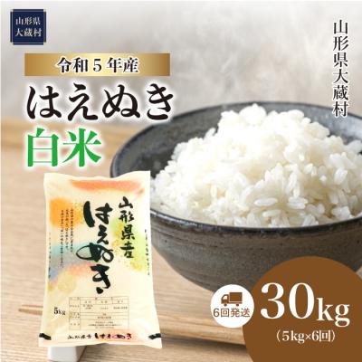 ふるさと納税 大蔵村 令和5年産 はえぬき30kg定期便(5kg×6回)　山形県大蔵村