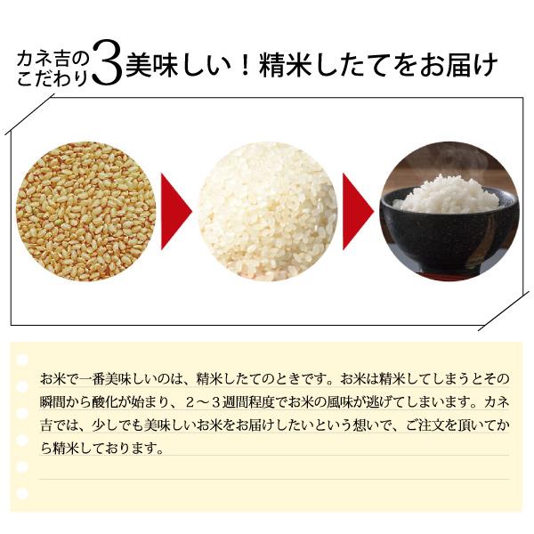 令和5年宮崎県産ヒノヒカリ9kg（4.5kg×2袋）／単一原料米