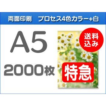 A5クリアファイル印刷