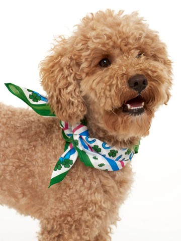 MC2 Saint Barth Foulard With Lucky Print