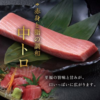 ふるさと納税 越前市 本まぐろ 中トロ 400g(柵どり)