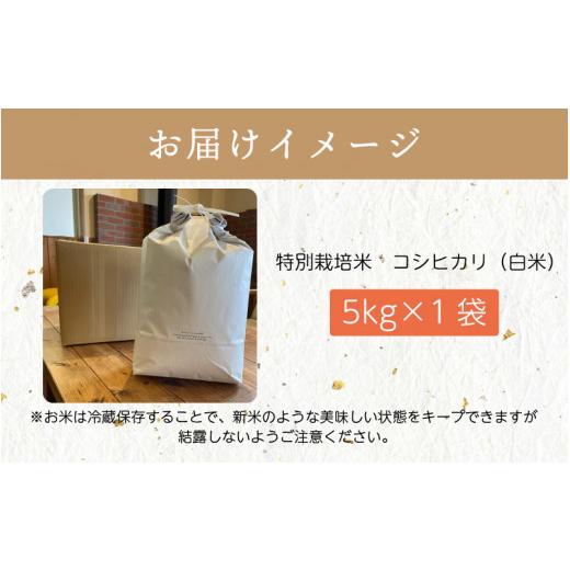 ふるさと納税 福井県 越前町 [e18-a004] 令和5年産 特別栽培米 コシヒカリ 5kg（精米）