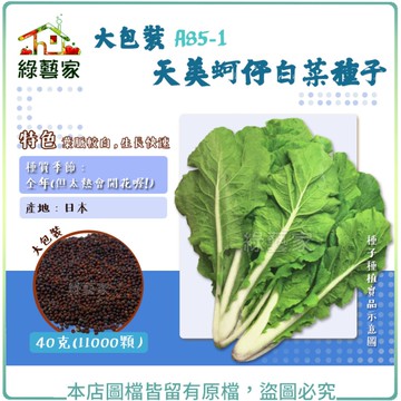 【綠藝家】大包裝A85-1.天美蚵仔白菜種子40克(11000顆)