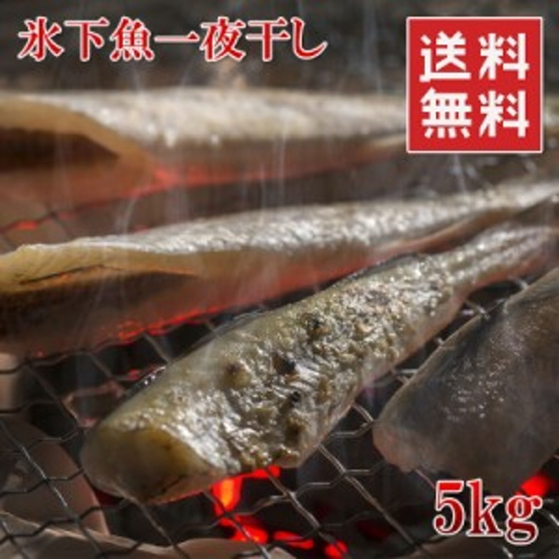 225匹前後　こまい　一夜干し　お徳用　干物　冷凍　5kg　LINEショッピング　送料無料　氷下魚　カンカイ　業務用サイズ　国産　楽天ランキング1位　コマイ　北海道産