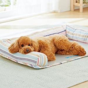 ペピイ さわやかマリン プレート用ベッド カラフル Ss 犬用ベッド ペットベッド クッション 通販 Lineポイント最大get Lineショッピング