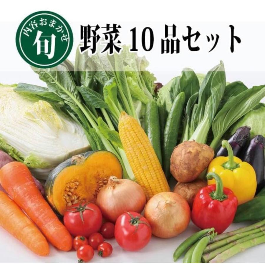 旬の八百屋直送 野菜10品セット (80サイズ)