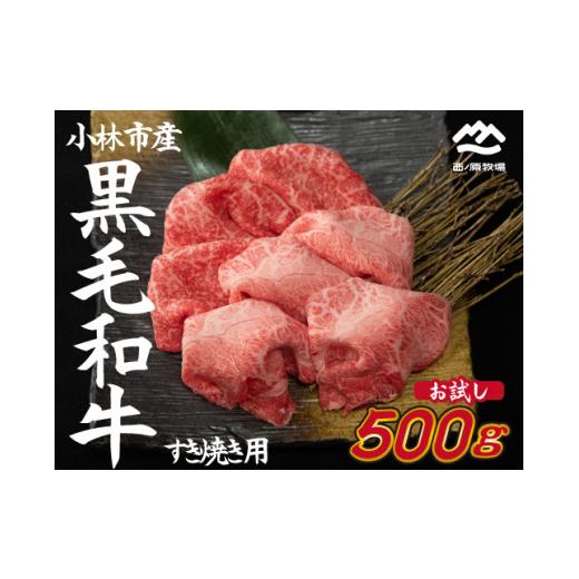 ふるさと納税 宮崎県 小林市  国産 牛肉 宮崎牛 おためしすき焼き用　500ｇ×１Ｐ（お肉 モモ ウデ すき焼き 焼肉 赤身 スライス）