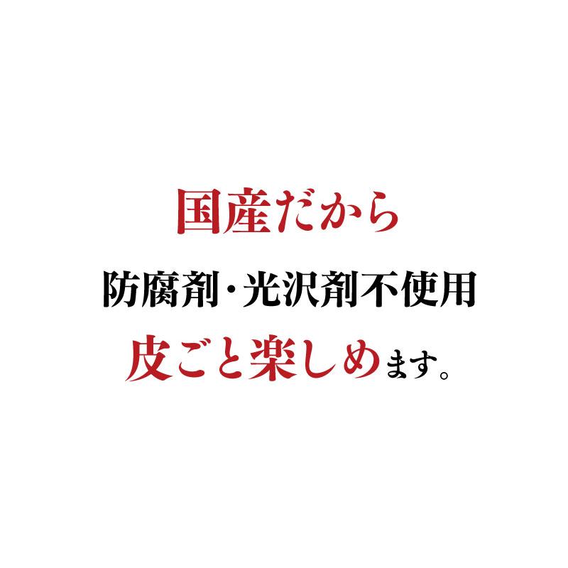 国産 レモン 熊本産 4kg 送料無料 リスボン ＜一週間から10日前後でお届け＞ れもん ノーワックス 防カビ剤不使用 産地直送 農家直送