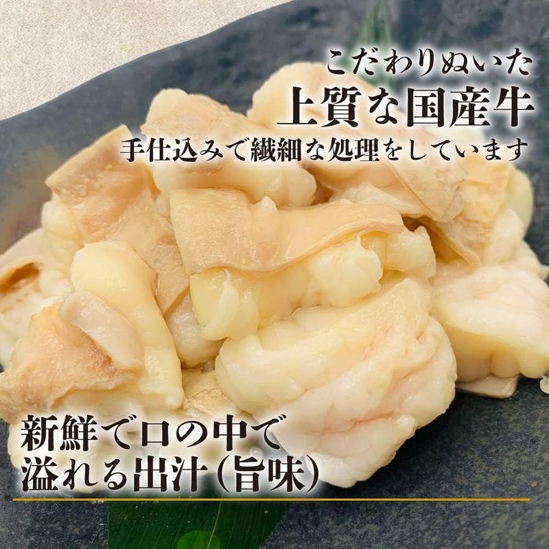 うちホル 国産牛 大トロホルモン 塩味 600g［焼肉 バーベキュー キャンプ お取り寄せ 通販 TOORO