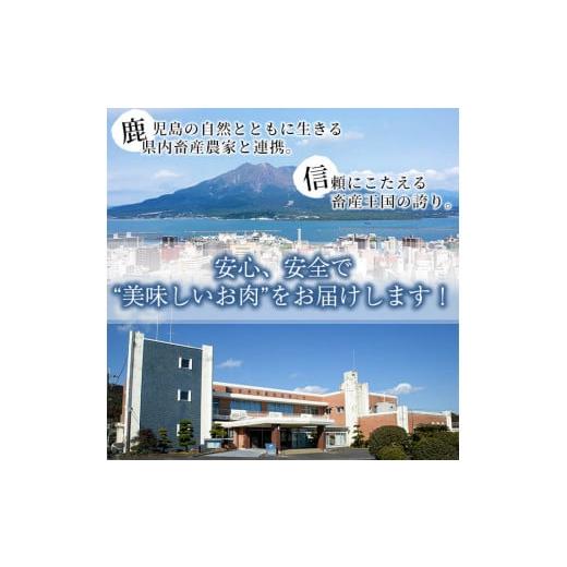 ふるさと納税 鹿児島県 志布志市 a3-119 ＜鹿児島黒豚＞しゃぶしゃぶセット 計900g