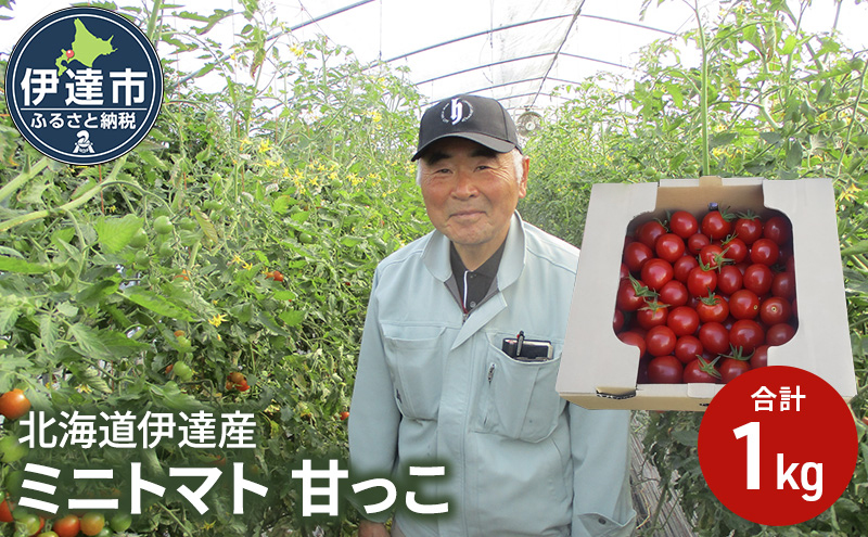 北海道伊達産 ミニトマト 甘っこ 1kg とまと 甘い