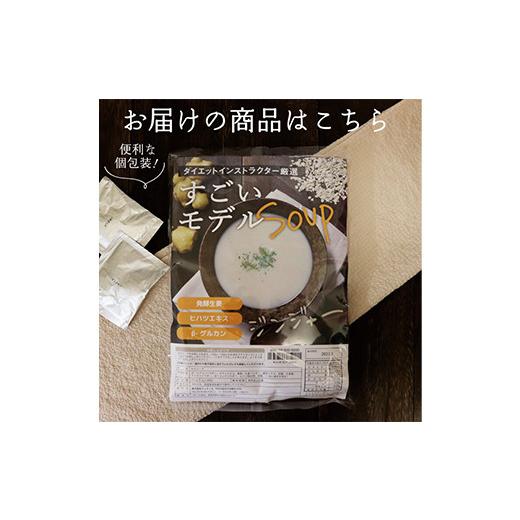 ふるさと納税 群馬県 富岡市 すごいモデルスープ30包