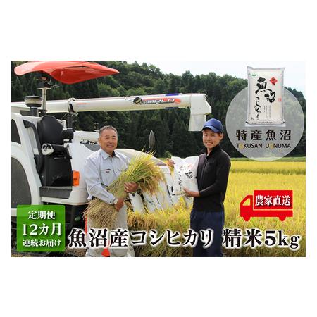 ふるさと納税 農家直送！ 魚沼産 コシヒカリ 精米 5kg 12ヶ月 連続お届け（ 米 定期便 魚沼産コシヒカリ こしひかり お米 こめ コメ 魚沼産コシ.. 新潟県魚沼市