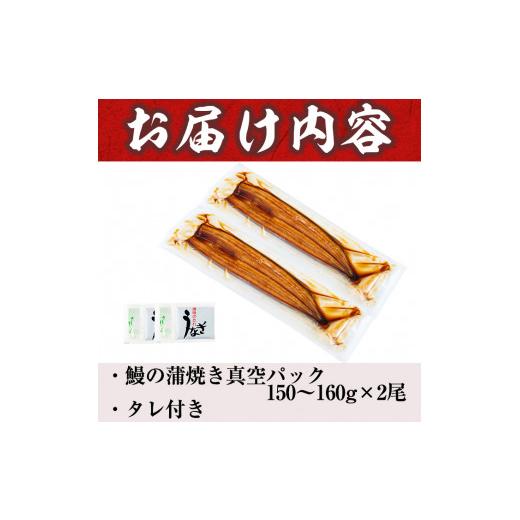 ふるさと納税 鹿児島県 志布志市 うなぎの大楠＜大＞2尾セット計300g(150g×2) a5-244