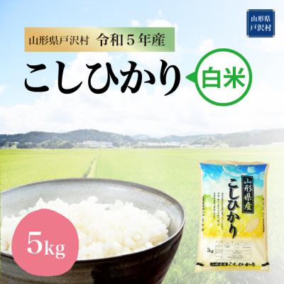 ふるさと納税 戸沢村  コシヒカリ  5kg(5kg×1袋) 山形県 戸沢村