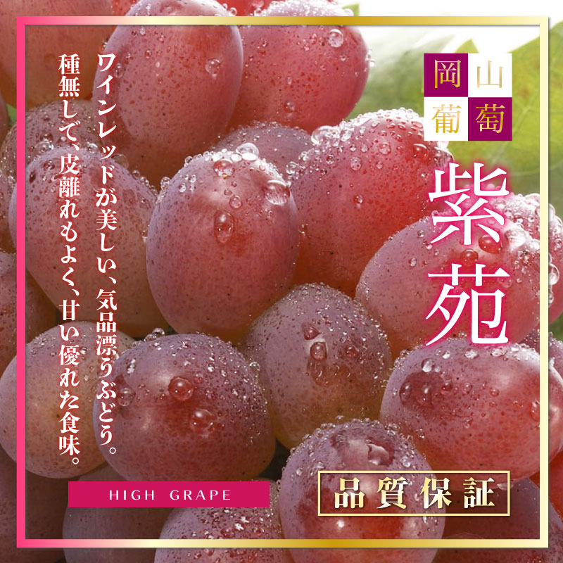  紫苑 高級ぶどう ぶどう 約1kg 2房 岡山県産 ぶどう 葡萄 マスカット 化粧箱