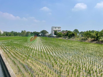 斗南新崙庄頭臨15米路雙面路4.4分農地｜雲林縣斗南鎮大東