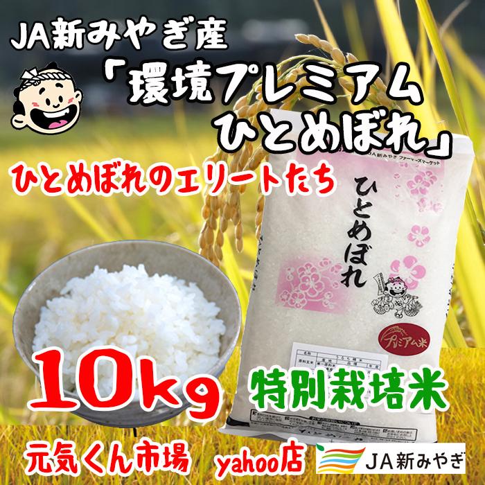 令和5年産　環境プレミアムひとめぼれ　宮城県産　10Kg　特別栽培米（減農薬・減化学肥料）　精米　送料無料（一部地域を除く）