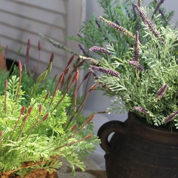 北歐高品質西西里薰衣草仿真花假花塑料花裝飾花擺放花卉 二色選