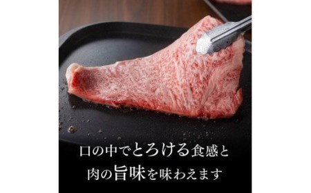 ※令和6年2月より順次発送※宮崎県産黒毛和牛 牛肉 サーロインステーキ 400g 肉 牛肉  牛 国産牛肉 牛 九州産牛 牛 和牛 ステーキ 牛肉 送料無料牛肉 牛