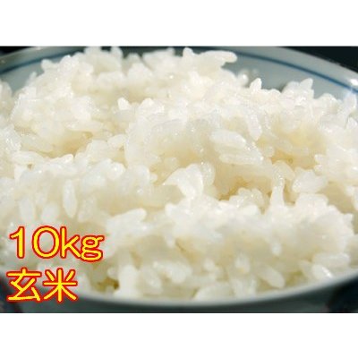 お米 10kg 送料無料 玄米