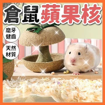 【全網最低價】Carno卡諾蘋果核 倉鼠蘋果核  倉鼠玩具 倉鼠用品  倉鼠磨牙 磨牙倉鼠  倉鼠造景 天然磨牙玩具