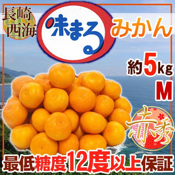 長崎県産　味まるみかん　S~Mサイズ　約5kg　秀品