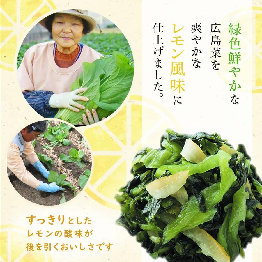 送料無料 [山豊] 漬物 広島菜 レモン 広島菜  100g×3  広島 漬物 漬菜 広島菜 レモン 国産