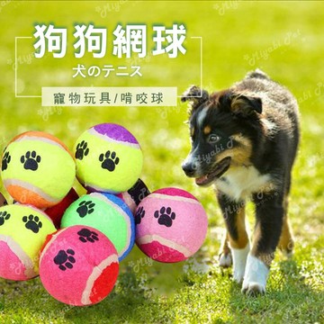 【米亞比寵物】腳丫丫拋接網球 寵物球 狗狗球 狗球 寵物狗狗玩具 狗狗訓練球 網球 運動訓導寵物用品
