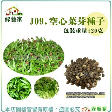 【綠藝家】J09.空心菜芽種子20克)(約400顆)(芽菜種子)芽菜類種子 蔬菜種子 蔬菜 園藝 種植 空心菜 菜園