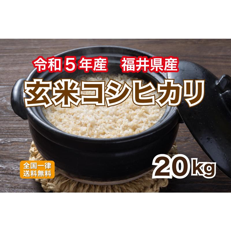 玄米 令和５年産 福井県産コシヒカリ20kg 単一原料米 栄養満点 お米 安い 10kg×2 送料無料