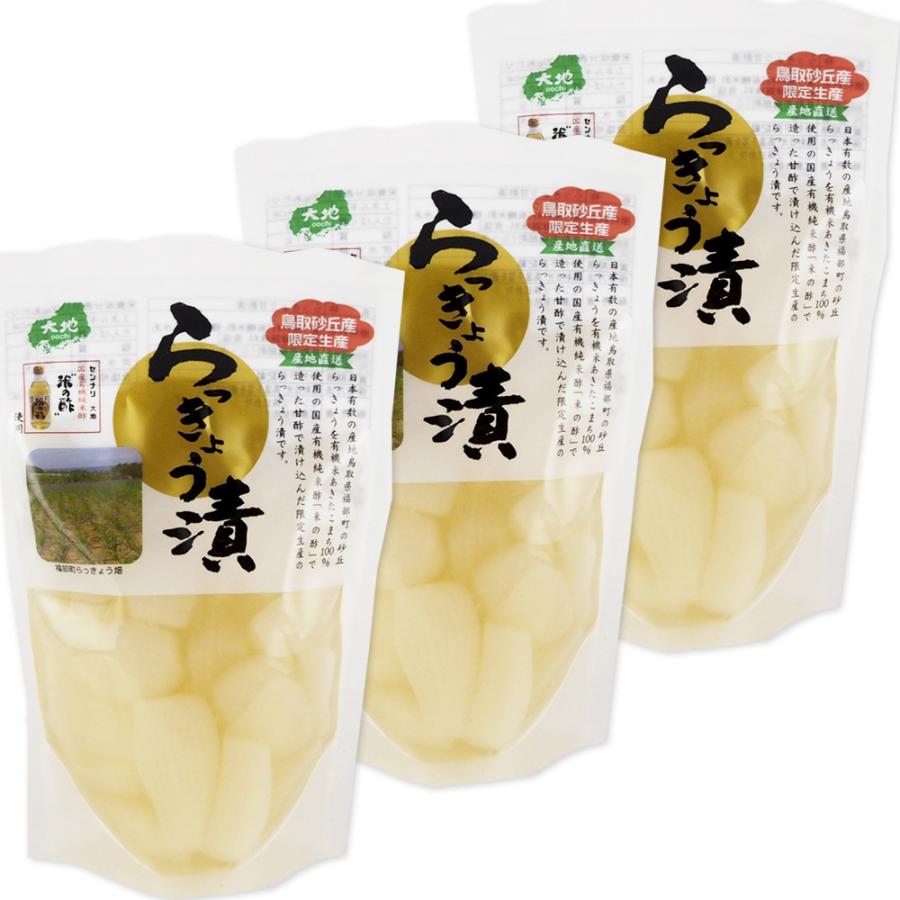 鳥取砂丘産 らっきょう漬 １３０ｇ ３袋セット  送料無料 センナリ 米酢 鳥取県