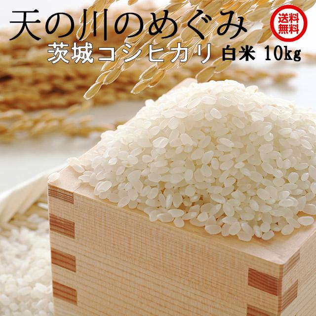 米 コシヒカリ こしひかり 天の川のめぐみ 白米 10kg 令和5年産 ギフト 茨城県 お米 こめ おこめ