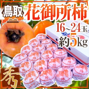 鳥取産 ”花御所柿” 秀品 16～24玉 約5kg 送料無料