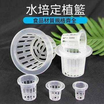 🏆臺出良品+實力好貨🔥水培蔬菜定植籃無土栽培設備塑料加深種植藍水耕定植杯固根器 26R2H