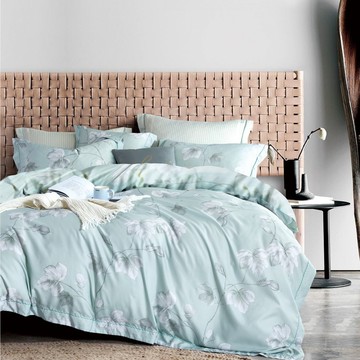 LoveCity 寢城之戀 台灣製 吸濕排汗萊賽爾天絲兩用被床包組  1入  漫步綠  被子 + 被套 + 枕套組  雙人5尺