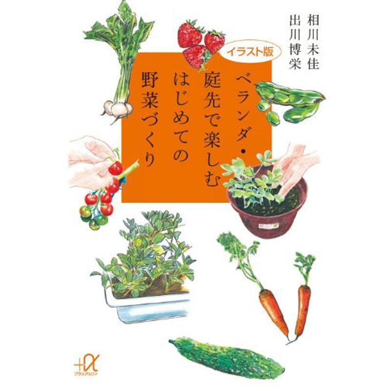 イラスト版 ベランダ・庭先で楽しむはじめての野菜づくり (講談社 α文庫)