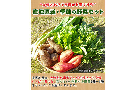 熊本県大津町産 季節の野菜セット(6～8種類)《60日以内に順次出荷(土日祝除く)》野菜 冷蔵 JA菊池 大津中央支所 とれたて市場