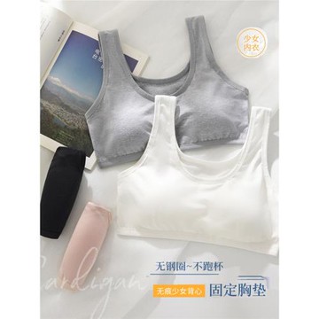 女士運動純棉內衣夏少女內衣防震胸罩聚攏文胸美背無鋼圈固定胸墊