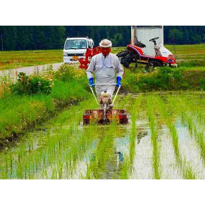 ふるさと納税 南魚沼市 南魚沼産(しおざわ)こしひかり　栽培期間中農薬を使用せず育てた米　精米　10kg(5kg×2袋)