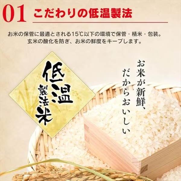 アイリス　低温製法米　おいしいごはん　180g×10P