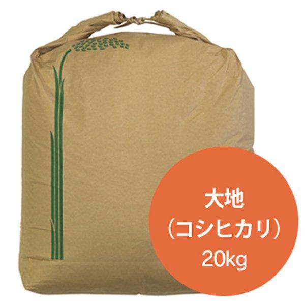 新米 令和5年  2023年産 石川県産 特別栽培米 大地 コシヒカリ 玄米20kg 一等米 産地直送 ばんば