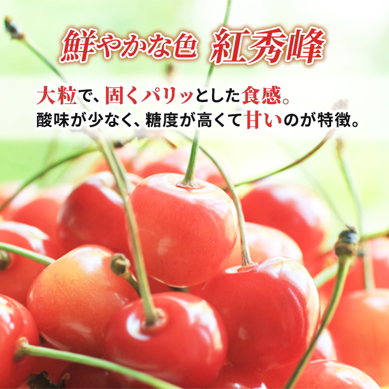 先行受付 2024年7月から出荷 北海道 仁木町産 サクランボ 紅秀峰 600g 厳選品  松山商店